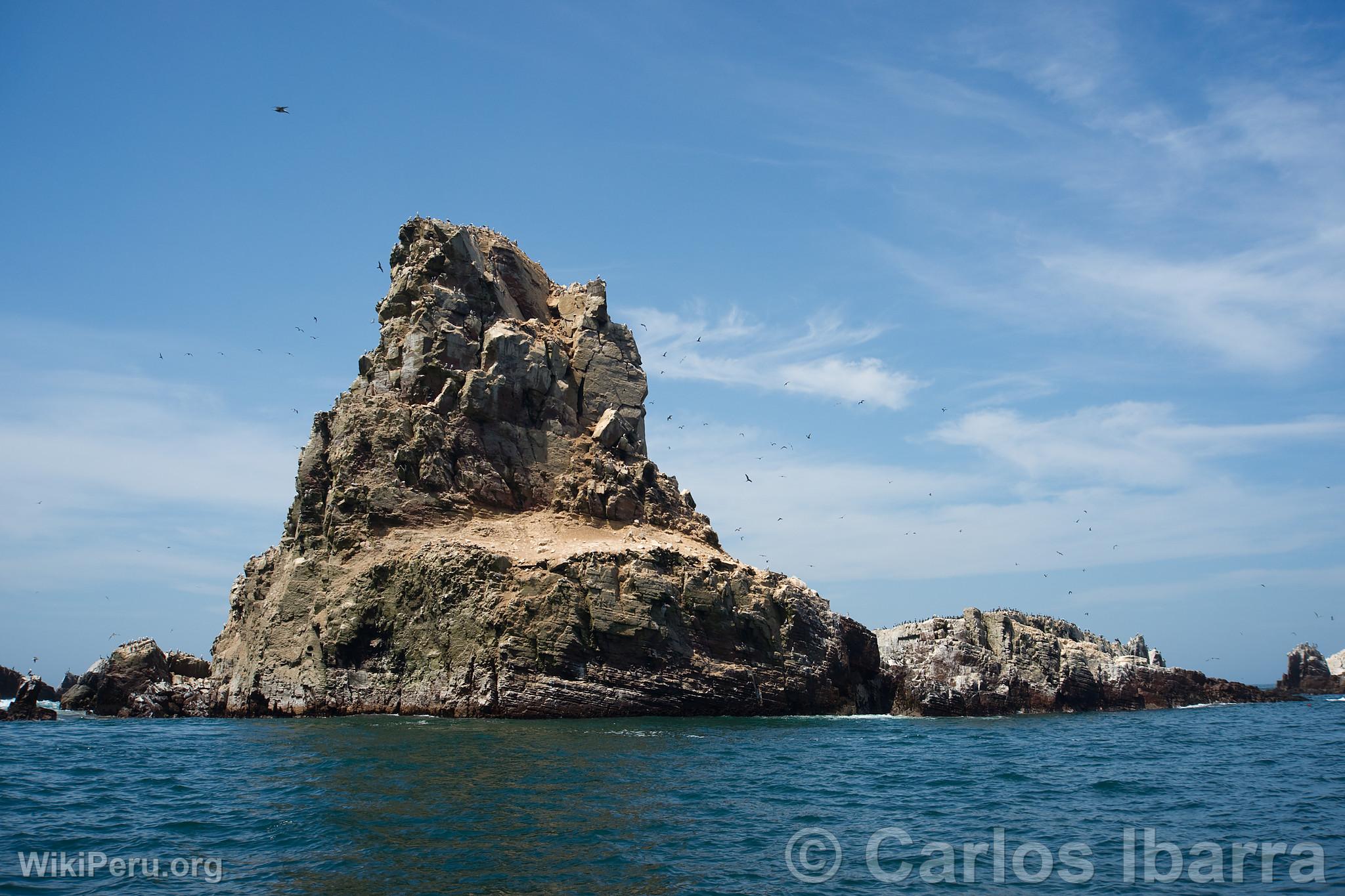 Islote de las Islas Palomino, Callao