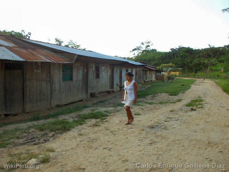 Carretera (Mashuyacu)