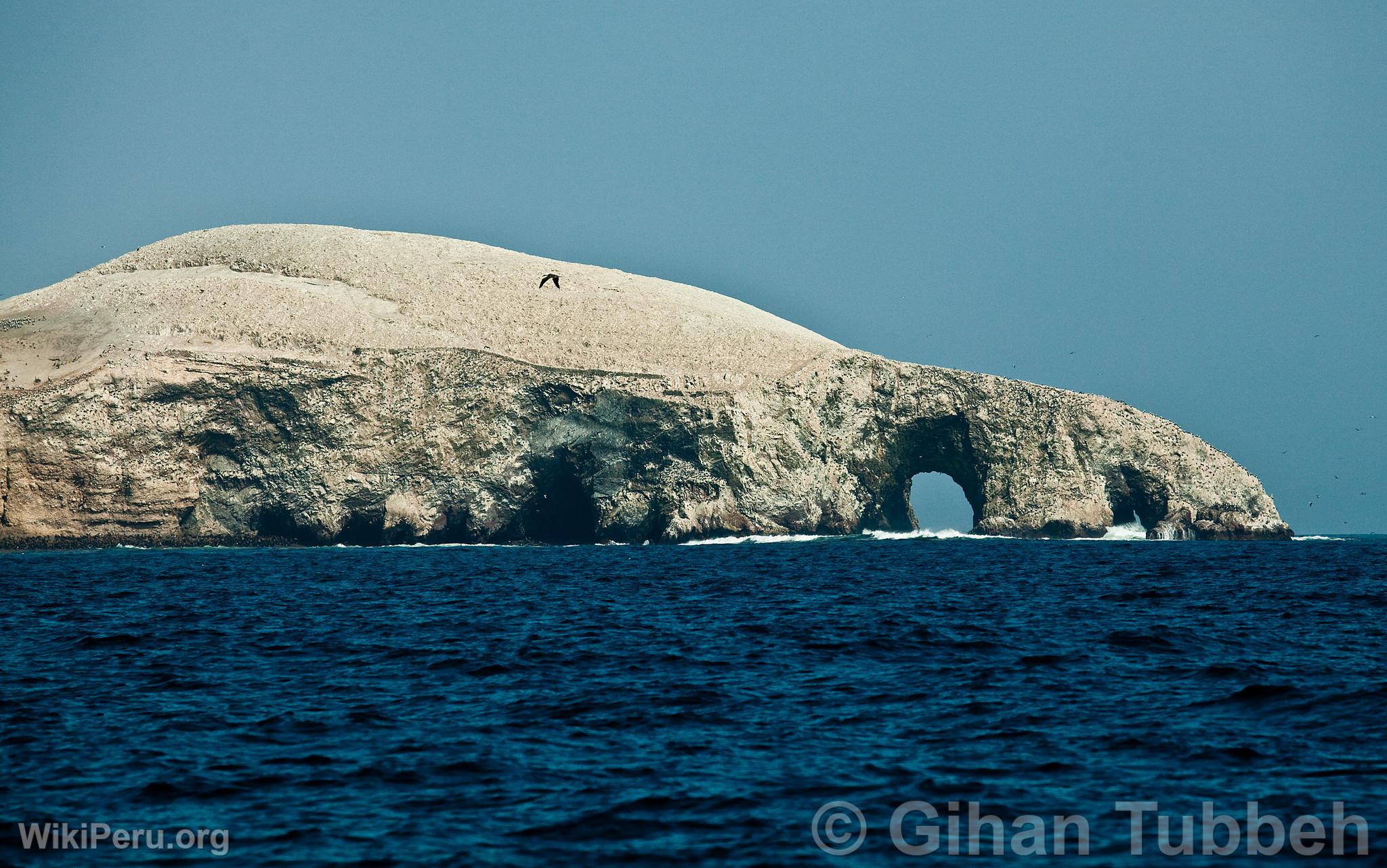 Islas Ballestas, Paracas
