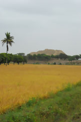 Valle de las Pirmides de Tcume