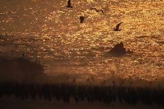 Atardecer en Punta Coles